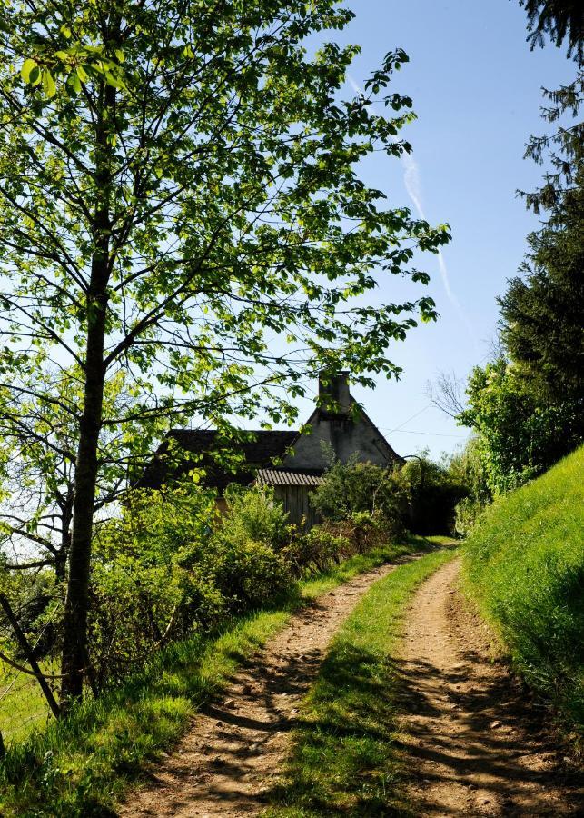 Le Bourmier Anlhiac Near Excideuil Villa Екстериор снимка