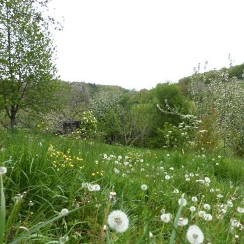 Le Bourmier Anlhiac Near Excideuil Villa Екстериор снимка